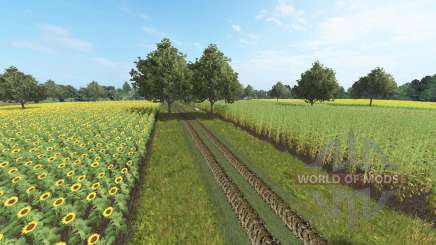Borkowice para Farming Simulator 2017
