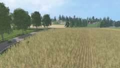 Labboens para Farming Simulator 2015