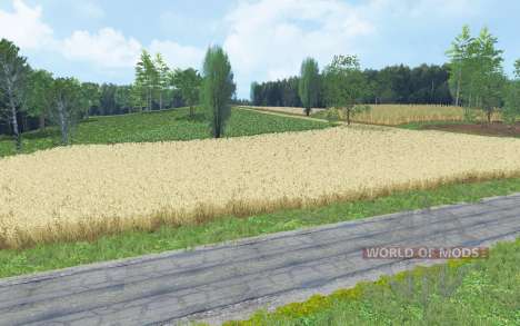 Biedrzychowice para Farming Simulator 2015