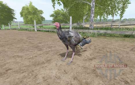 A turquia para Farming Simulator 2017