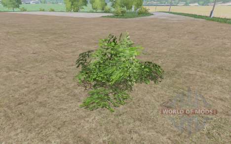 Pequenos arbustos, para Farming Simulator 2017
