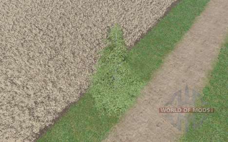Pequeno abeto para Farming Simulator 2017