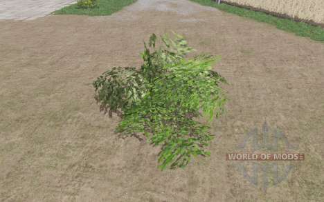 Um arbusto grande para Farming Simulator 2017