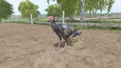 A turquia para Farming Simulator 2017