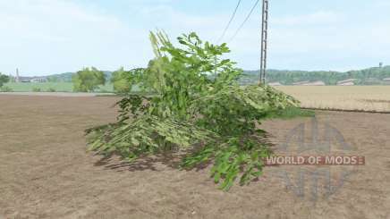 Um arbusto grande para Farming Simulator 2017
