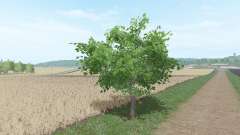 Árvores de fruto para Farming Simulator 2017