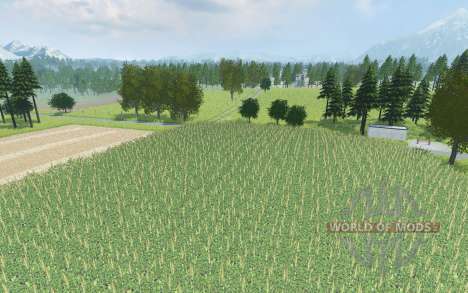 Holzheimerstrasse Country para Farming Simulator 2013