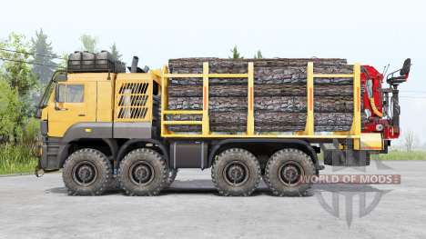 Kamaz 65228 TEMPO v1.2 para Spin Tires