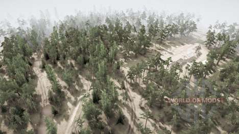 Forest Roads 2021 para Spintires MudRunner