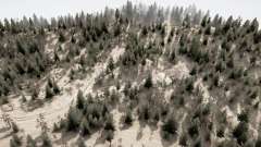 Bronislaw Forest para MudRunner