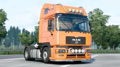 MAN 19.464 (F 2000) 2001 v1.0.2 para Euro Truck Simulator 2