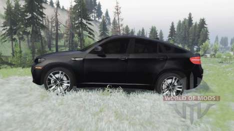 BMW X6 M (Е71) 2009 para Spin Tires