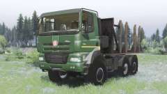 Tatra Phoenix T158 6x6 2011 para Spin Tires