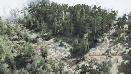 Mapa Floresta para MudRunner