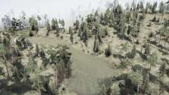 A Floresta para MudRunner
