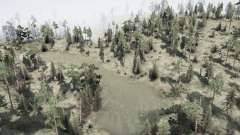 A Floresta para MudRunner