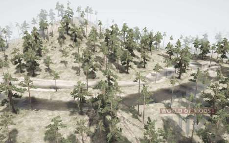 A Floresta. Variante 2 para Spintires MudRunner